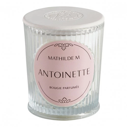 Antoinette Bougie parfumée Les Intemporelles 145 g