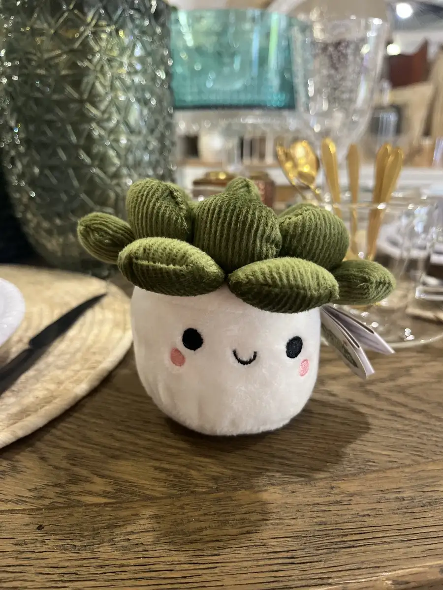 Peluche Bobballs Succulente