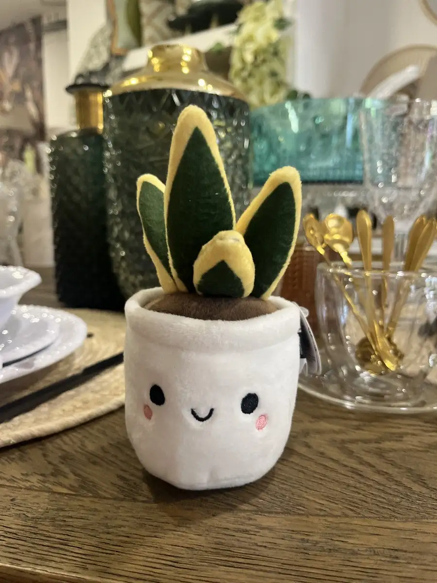 Peluche Bobballs Sansevieria
