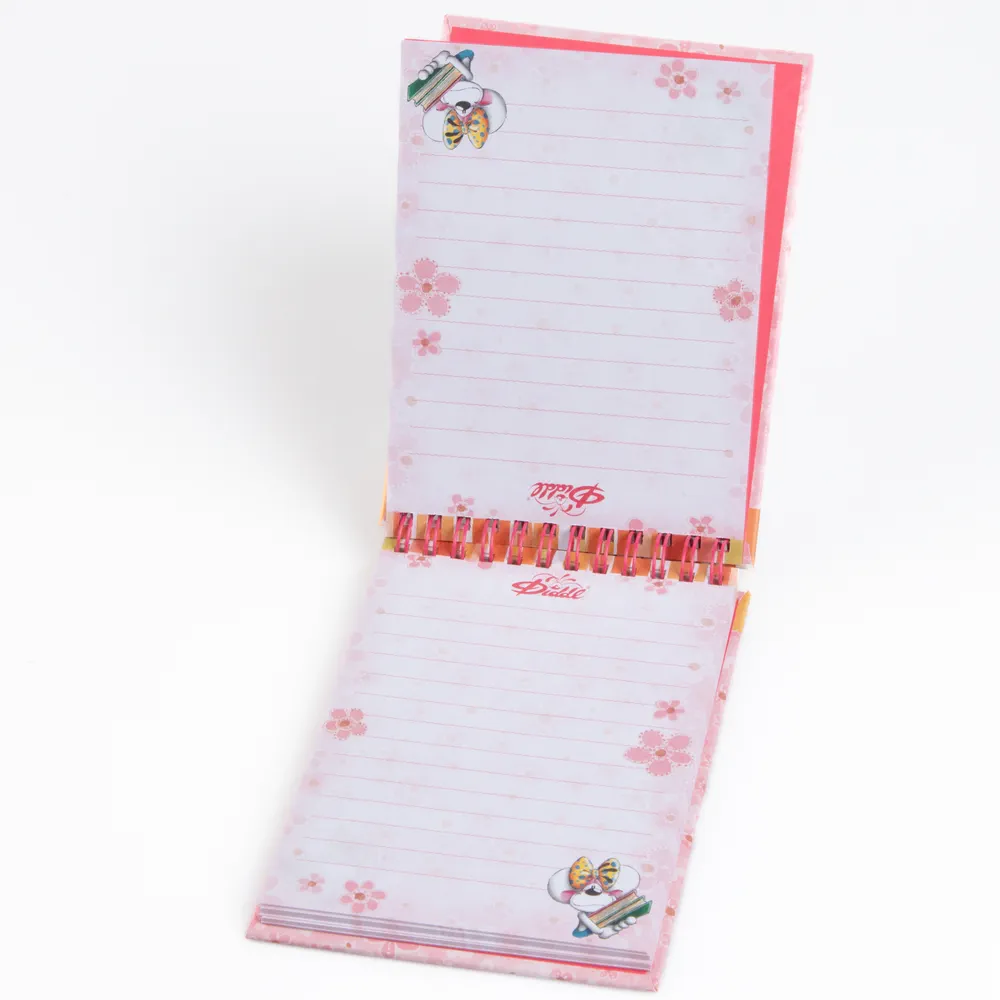 Carnet A6 spirale Rose Diddlina